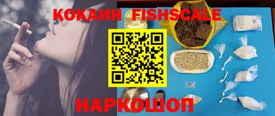 индика Дубна
