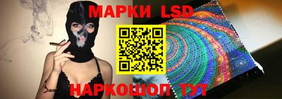индика Дубна