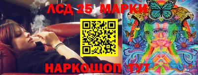 индика Дубна