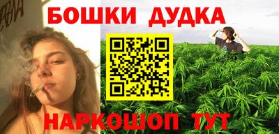 индика Дубна