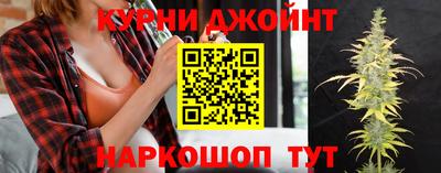 индика Дубна