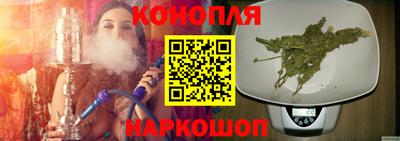 индика Дубна