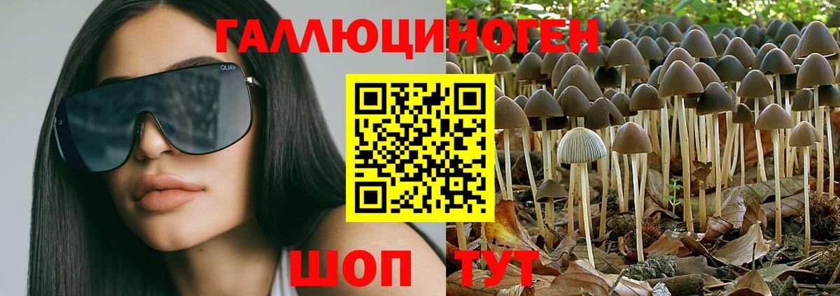 Муром  Псилоцибиновые грибы ЛСД  Вход с VPN 